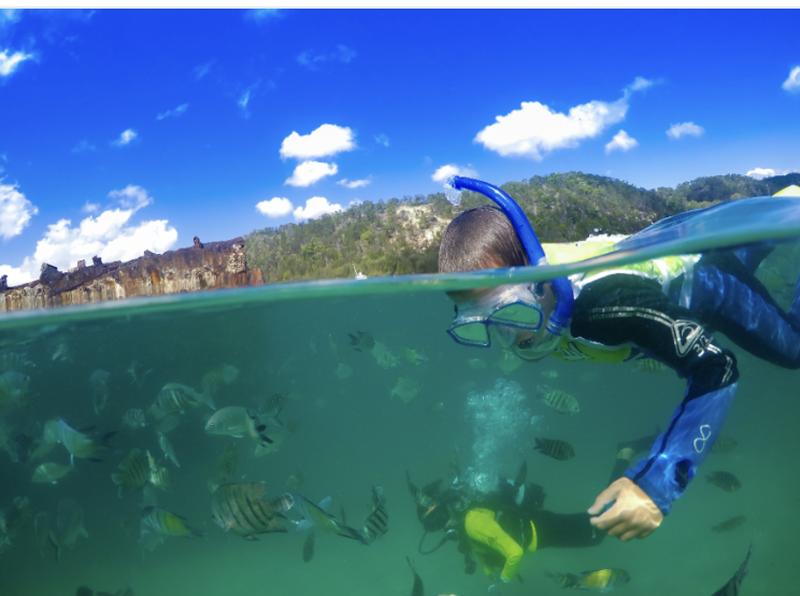 Tangalooma Snorkel the Wrecks Day Cruise with Bus Transfers from Gold Coast